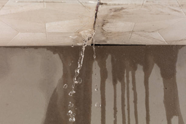 Professional Structural Drying technician working in Stoutsville, OH
